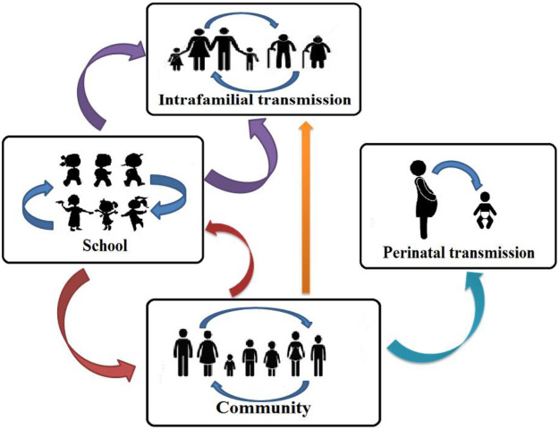 COVID-19 outbreak: Migration, effects on society, global environment and  prevention - ScienceDirect