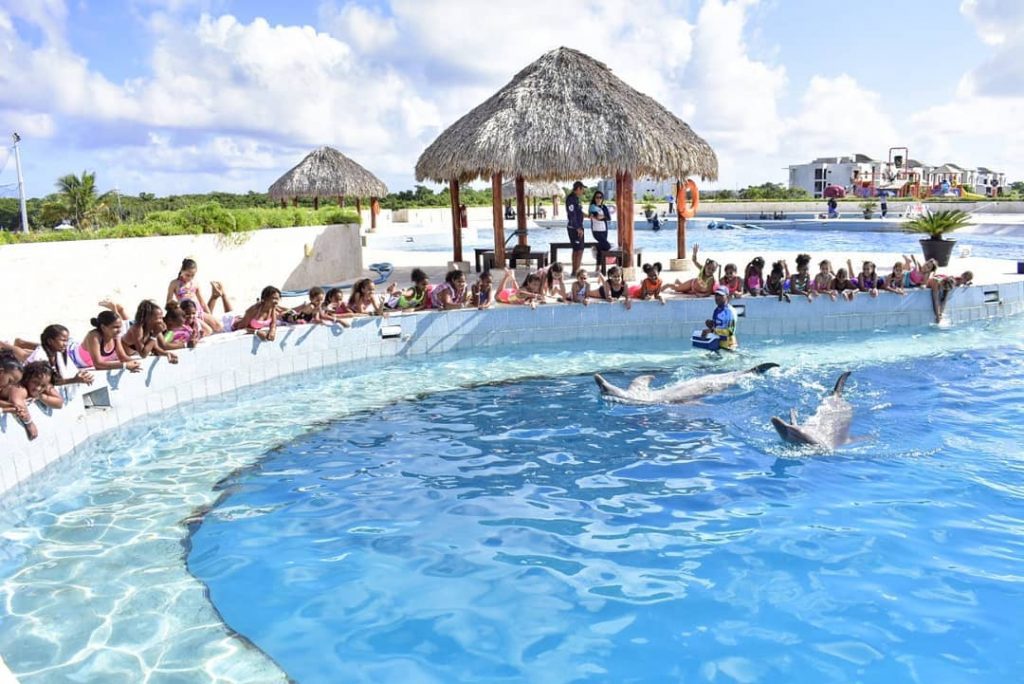 habitat-dolphin-discovery-punta-cana